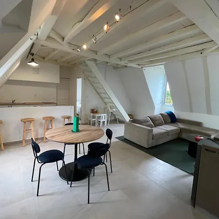 Duplex - - Family-friendly - Pyrenees & Castle Daire Pau