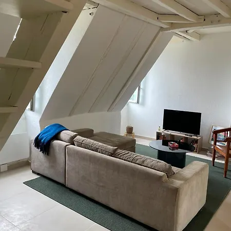 Daire Duplex - - Family-friendly - Pyrenees & Castle Pau
