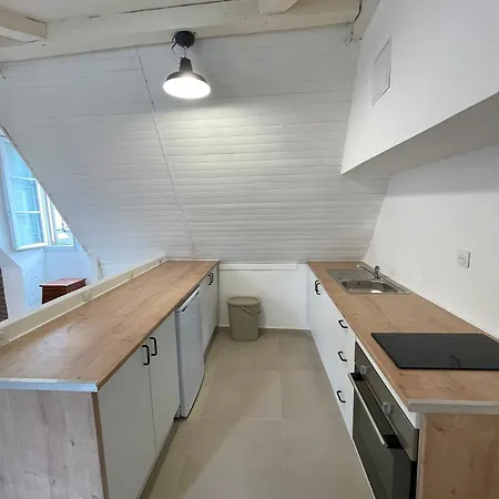 Duplex - - Family-friendly - Pyrenees & Castle Pau